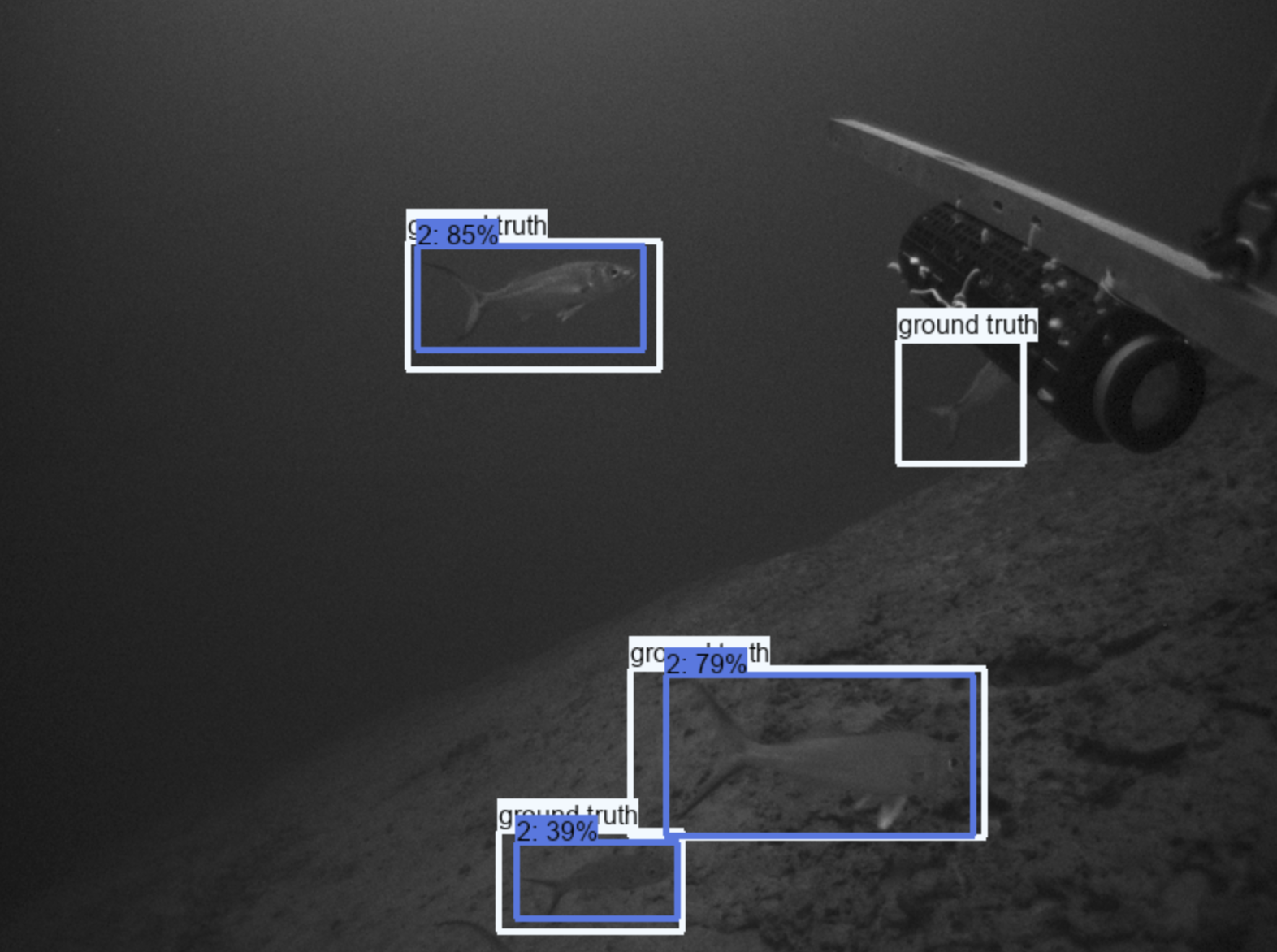 CFD detections, BRUVS