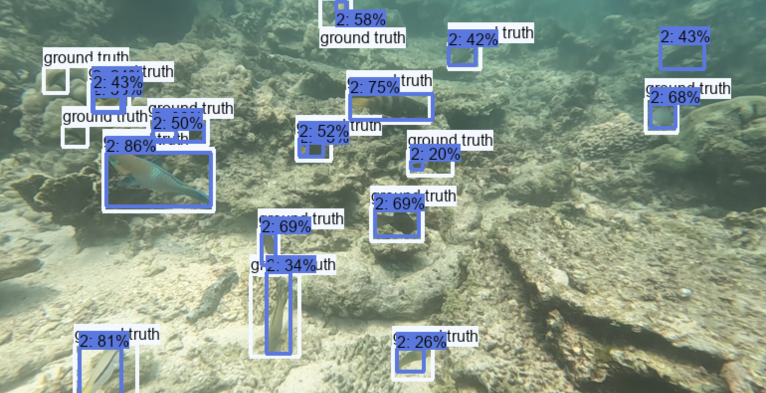 Community Fish Detector
