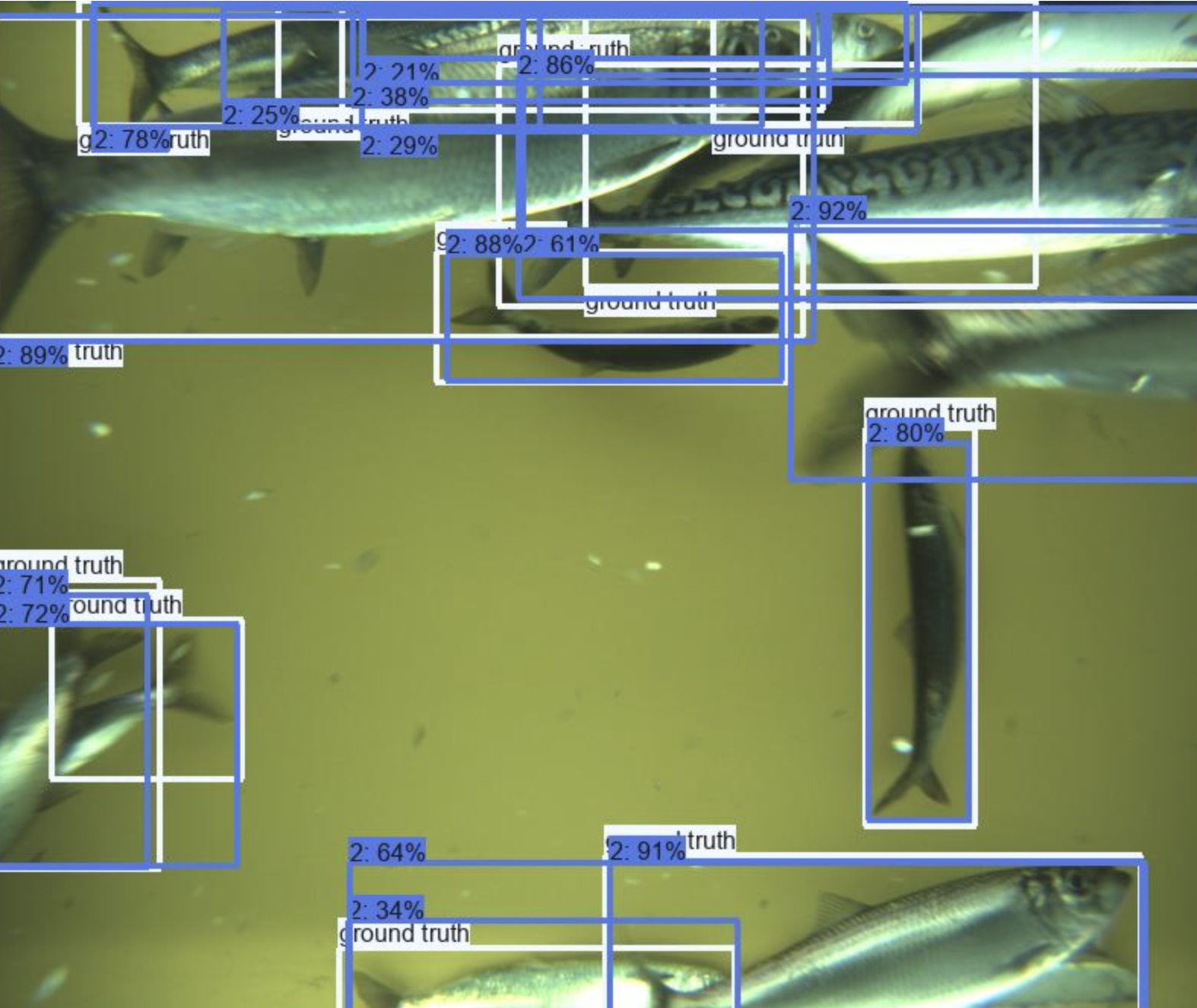 CFD detections, Pelagic