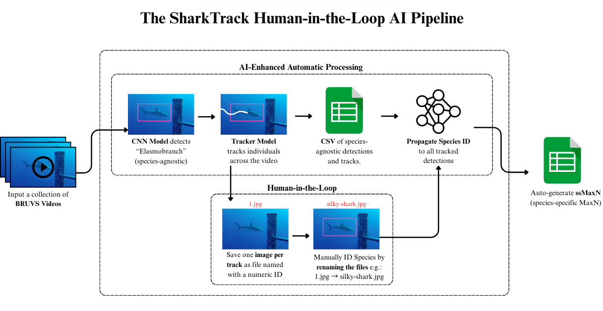 The SharkTrack pipeline diagram