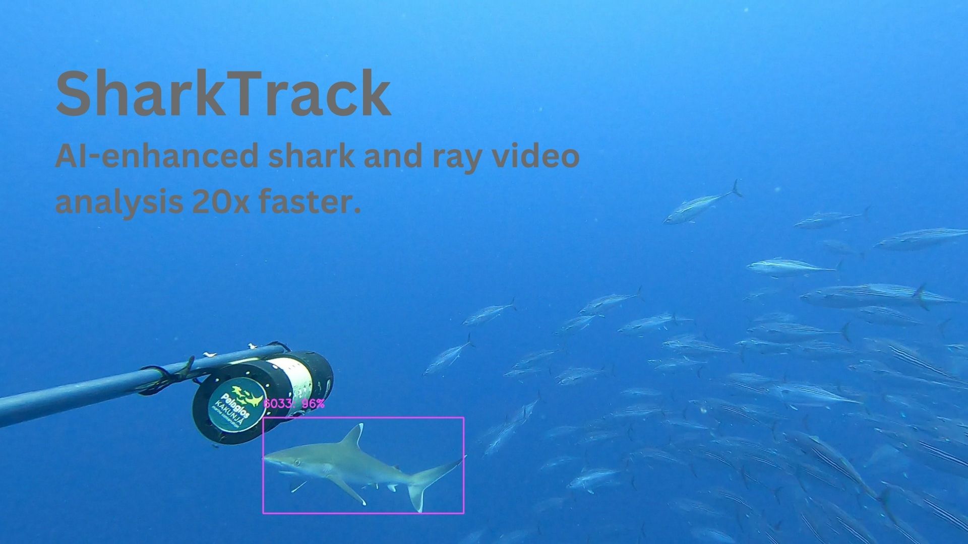 SharkTrack